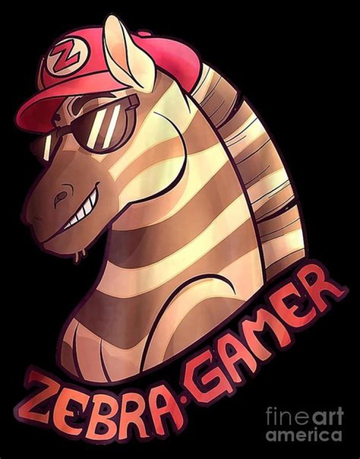 Zebra Gamer